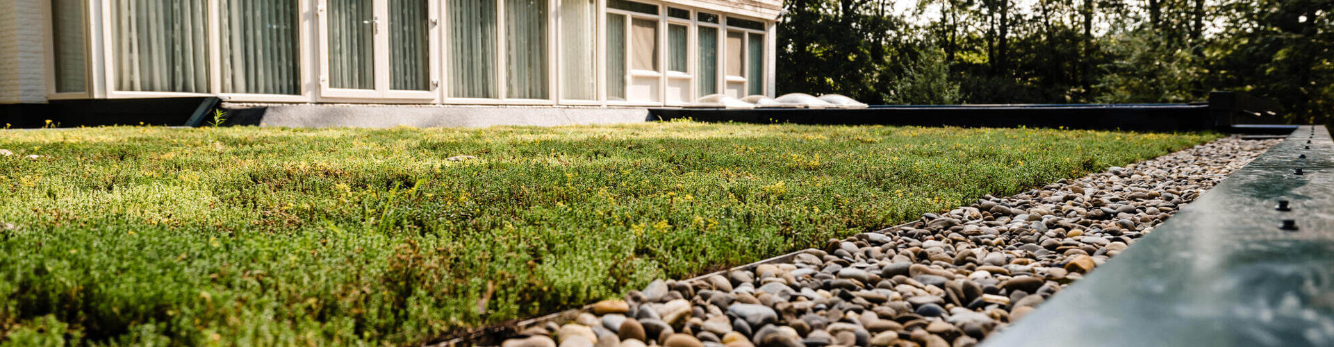 Complete renovatie met groendak